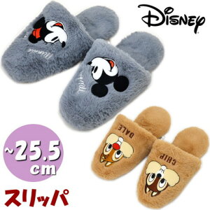 Xbp fBYj[ ~bL[~j[ O[ `bvf[ x[W {A AbvP hJ `25.5cm Disney [V[Y H~ ~  g qp jp 킢 LN^