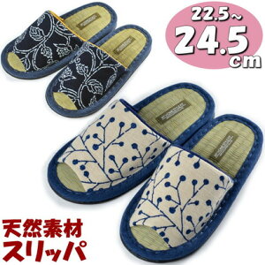 Xbp  ԕ ie a F fB[X lCr[ AC{[ `24.5cma ^^~ C  VR  u₩ [V[Y OJ   wlp N ėp  t