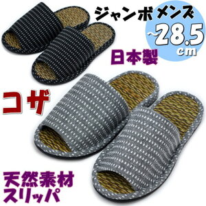 W{ Xbp ^^~ hbgSU a jp O[ ubN傫TCY qp Y  u₩  C   VRf 傫 rbOTCY  amp j 