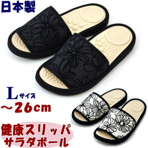 { Xbp T_{[ tbL[t[ LTCY `26cm ubN zCg fB[X y \tg _炩 ˋN c{  [V[Y wX NXbp NT_ 