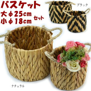 EhoXPbg 召2Zbg EH[^[qVX i` ubNVRf    ی^ Jo[ t[bN [ [P[X AWAG  CeA 