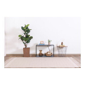 [I I[vbN 60cm 2i _[NO[ EZBO C[bN gi rO _CjO CeAƋysz[21]