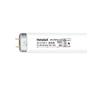 u40WFLR40SD^M^36 F 25{[21]