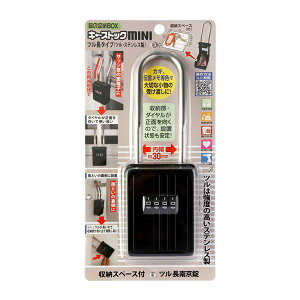 L[XgbN MINI c^Cv ubN i[Xy[Xt c싞j[21]