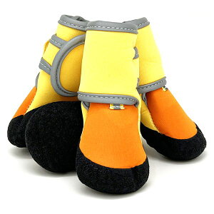 PAW VEIEP TZbgCG[ 2 ybgpiEp[21]