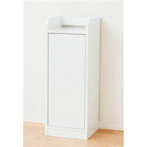 ʃf[bN/t[I yX^Cvz 30cm zCg() ygz[21]