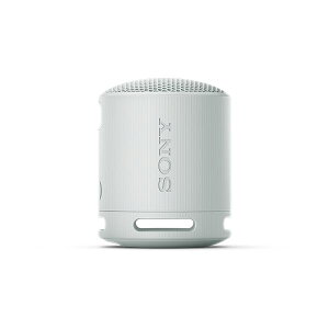 CX|[^uXs[J[SRS-XB100H[21]