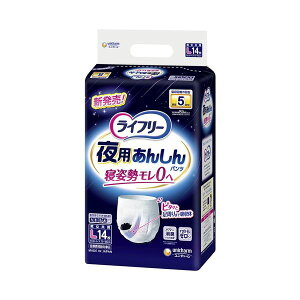 jE`[ Ct[p񂵂pc5L141P[21]