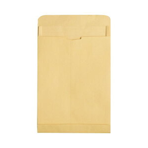 TANOSEER40Ntg^ p0}`t 120g^m2 e[vȂ 1pbNi50j[21]