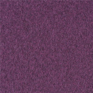 ^CJ[ybg 50×50cm 20 Ɩp h Ód  ͂ h zbgJ[ybgJo[ϔMH { ECOS LP-2096Nysz[21]