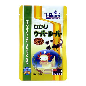 i܂Ƃ߁j Ђ E[p[[p[ 30g y×5Zbgz ঒Eރt[hysz[21]