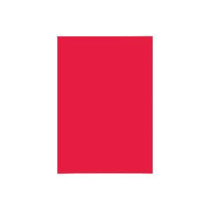 (Ɩp2Zbg)剤 ĐFp/Hp yl؂ 100z ()[21]