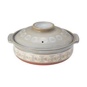 O ԎO10[ KXΐp MMT11019[21]