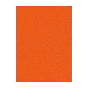 i܂Ƃ߁j ^ j[J[R lc 392×c542mm 4NCR-235 ア 100 y×2Zbgz[21]