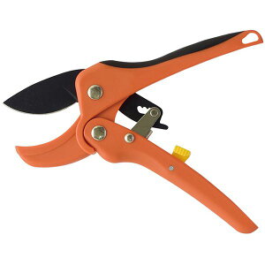 ͂̂Ȃ /΂ yS18cm nn4.5cmz [|[` SXgbp[t tbfH w`Fbgxysz[21]