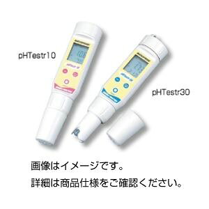 |PbgpHv pHTestr30[21]