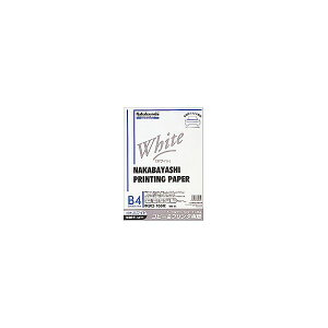 (ƖpZbg) Rs[v^p zCg^Cv B4F100 W-11y×10Zbgz[21]