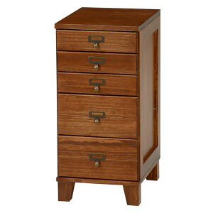 ގ[ [P[X 5i 28cm uE ؐ  l[t rt rO _CjO  ׋ysz[21]