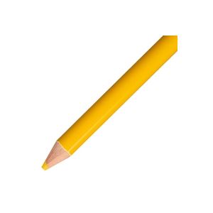 東京限定 トンボ鉛筆 色鉛筆 単色 12本入 1500-04 山吹[21]：雑貨のお