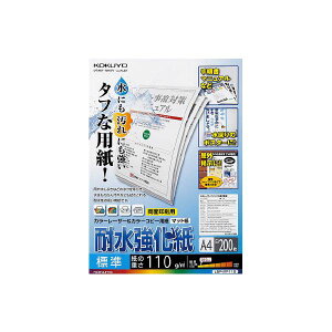 RN J[[U[J[Rs[piϐjA4 W LBP-WP115 1i200j[21]