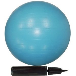 【10個セット】エクササイズボール 65cm ブルー