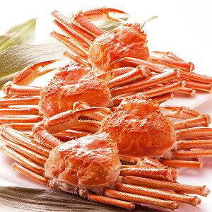 yg蔲QAiIzJi_Y{CYCKjpE500g×4 ⓀYCI ZHB504bysz[21]