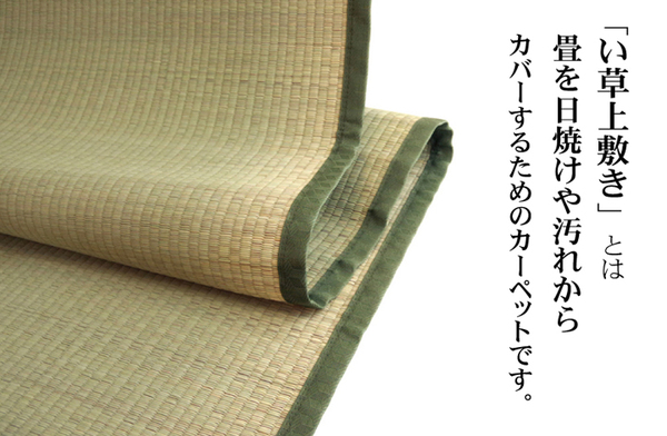 楽天市場】日本製 い草 上敷き/ラグマット 【双目織 本間6畳 約286