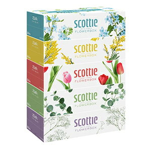 NVA XRbeB eBV[ t[{bNX 250g 5