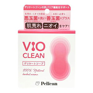 �y���J���Ό� VIO CLEAN �f���P�[�g�\�[�v105g