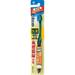 ѐ tԂɓuV RpNg ӂ1{