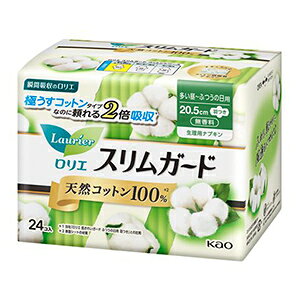 ԉ G XK[h VRRbg100 ӂ̓Ht24