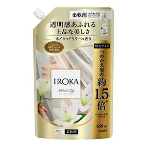 花王 IROKA イロカ ネイキッドリリー スパウト 650ml