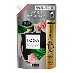 ԉ IROKA CJ nT[t XpEg 650ml