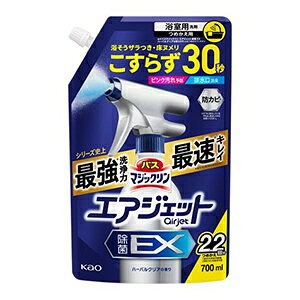 ԉ oX}WbN GAWFbg EX n[oNA̍ ߂p 700ml