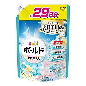 P&G {[hWFu₩tbVt[T{̍߂pTCY690g