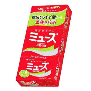 A[X ~[YΌ M[ 95g×3pbN