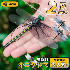_5%OFF^yǐVIIׂ2~8ZbgzIj}  14cm ɂ tBMA St A g{ 悯 ΍ Sst ނ Ro Lbv O 悯͌^  