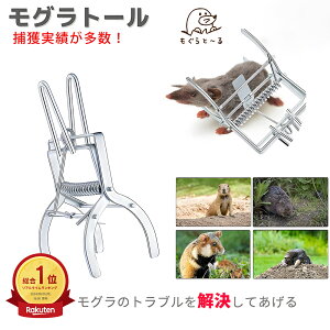 y10%OFFN[|zzIz Oߊl Oގ O O Og[ OߊlpNbv 猂 oł  ގ 悯 ފ