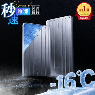 ＼2点目30%OFF！／【驚きの冷却力★新モデル】保冷剤 ステンレス お弁当 長持ち ベスト 長時間 強力 氷点…
