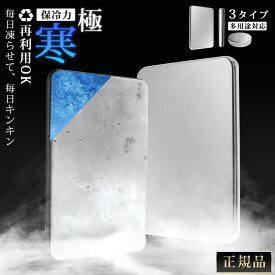 ＼P10倍／【2枚購入で1枚1340円!驚異の保冷力】保冷剤 長時間 強力 氷点下 ステンレス 保冷剤 最強 繰り返し使える 急速凍結 超低温 長持ち クーラーボックス 小さい ミニ コンパクト お弁当 保冷バッグ アイスパック アウトドア キャンプ 防災グッズ ステンレス保冷剤