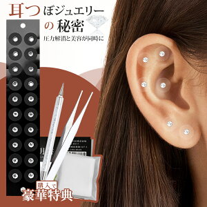 _VI10%OFFN[|I^yL񏬊玨ځzڃV[ `^ V[ CXg[ `^ ڃWG[  c{ i 100  Lbg ڃsAX c