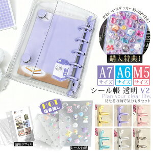 �_20%OFF�I�^�y�V�[����+���t�B��20���z�V�[���� �o�C���_�[ �䎆 ���t�B�� ���� �V�[���蒠 �傫�� �͂����� �����V�[���� A7 M5 ���� �N���A ���̎q ��l�� ���w�� �N���A�蒠 ���킢�� �L��