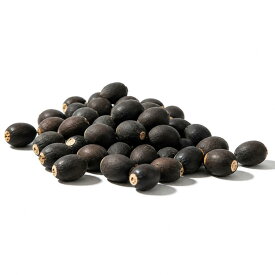 【新品★期間限定10％OFF】ハスの種 水に入れるだけ 水耕栽培 種 ミニ 室内 ハスの花 種 蓮 蓮の花 ハスの種 スイレンの種 水で育つ 蓮の種 水栽培 ミニハスの種 水で育つ 水草の種 初心者向け 水生植物 ミニハス 簡単栽培 日本語説明書付き 送料無料