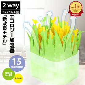 【今だけ！P10倍SALE】ペーパー加湿器 小型 加湿器 紙 卓上 加湿器 ペーパー 電気不要 交換用フィルター エコロジー加湿器 防カビ 自然気化式 電源不要 置くだけ エコ加湿器 加湿 気化式 電気を使わない加湿器 ぺーパー式 グリーン コンパクト