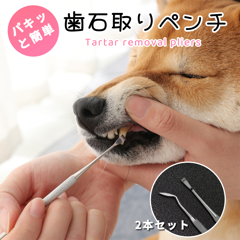 犬 歯磨き粉 ゼオライトの人気商品・通販・価格比較 - 価格.com