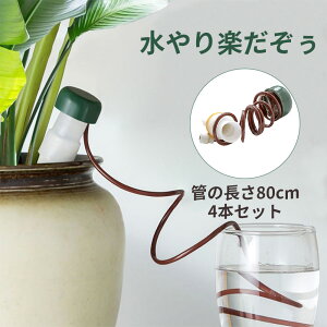  ^ 4Zbg 蓖    z[X  A A | K[fjO p  s @ UVXe