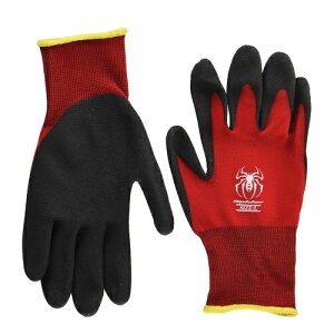 [쐼H]XpC_[ bh LTCY 1og