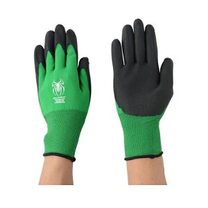 [쐼H]XpC_[ O[ MTCY 1og