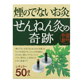 煙のでないお灸 せんねん灸の奇跡レギュラー 50点入