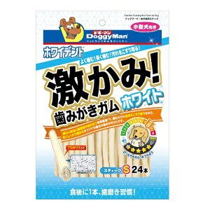 [hM[}nV]zCfg ݁I݂K zCg XeBbNS 24{